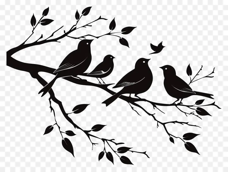 Oiseaux Assis Sur Une Branche，Les Oiseaux PNG