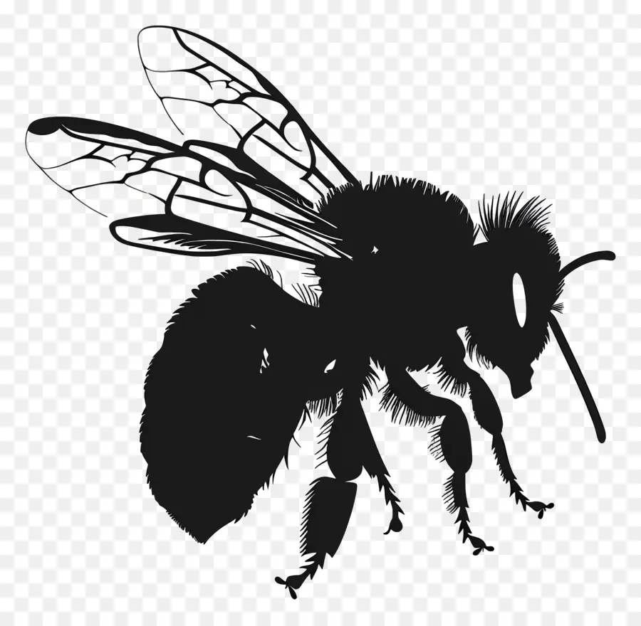 Abeille Silhouette，Abeille PNG