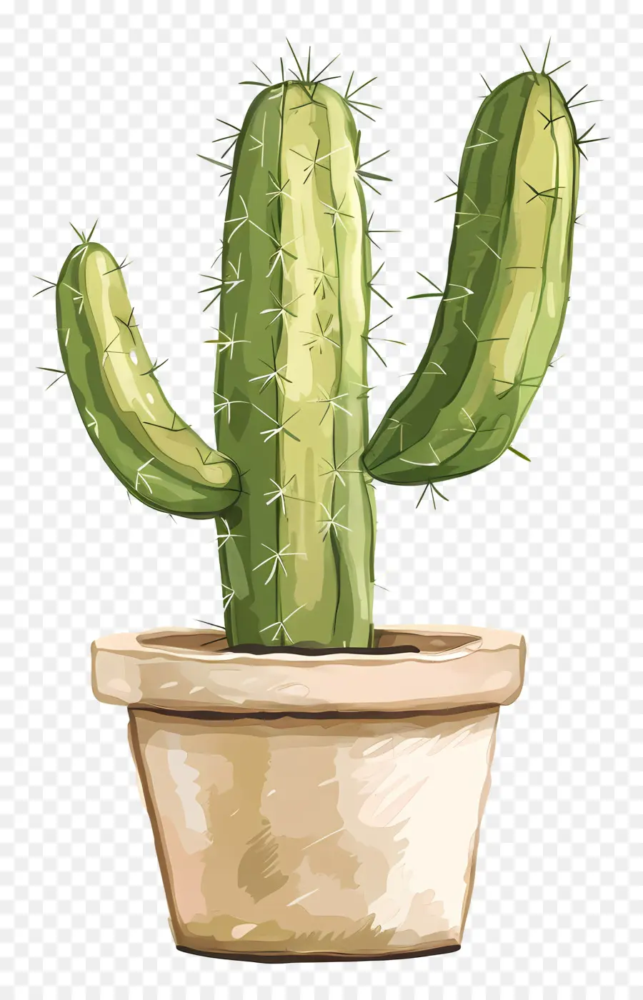 Cactus Vert，Cactus PNG