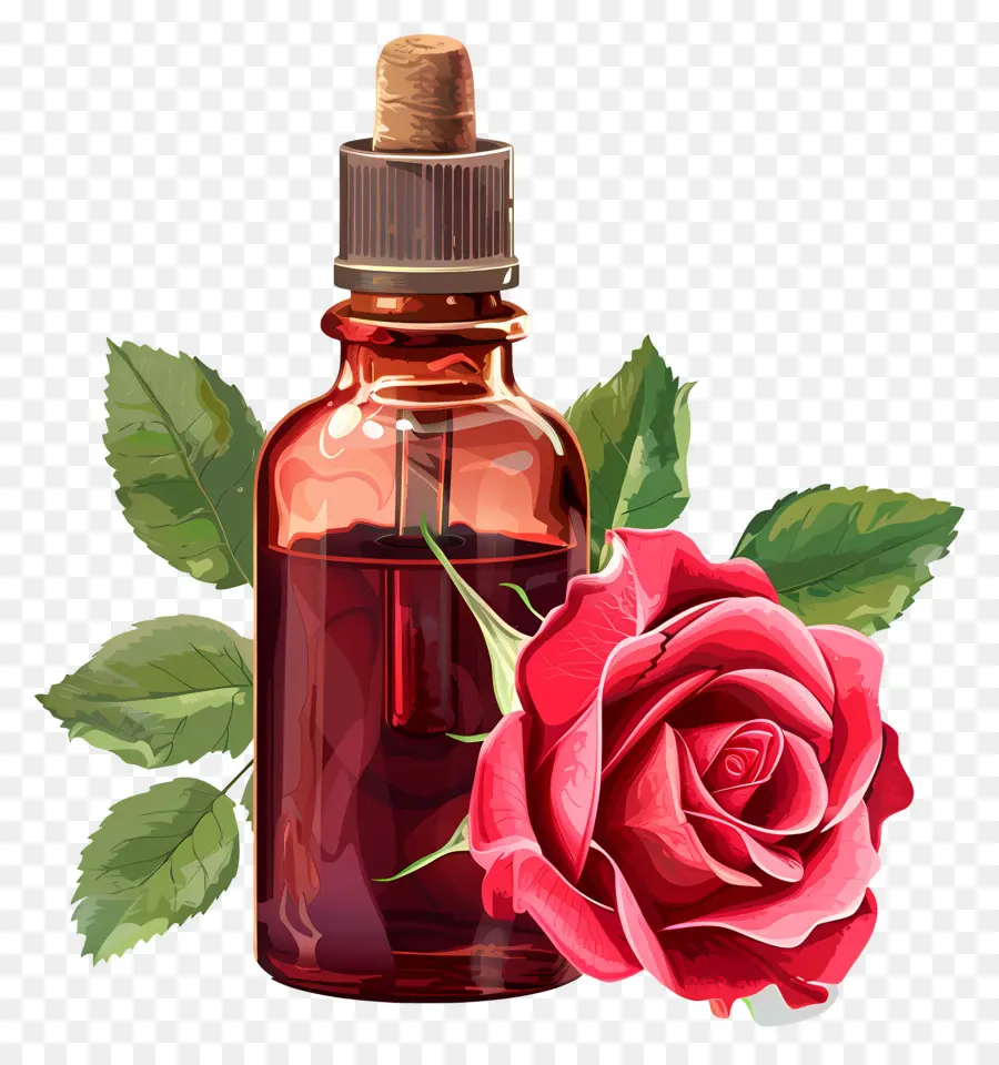 L'huile De Rose，Rose Rose PNG