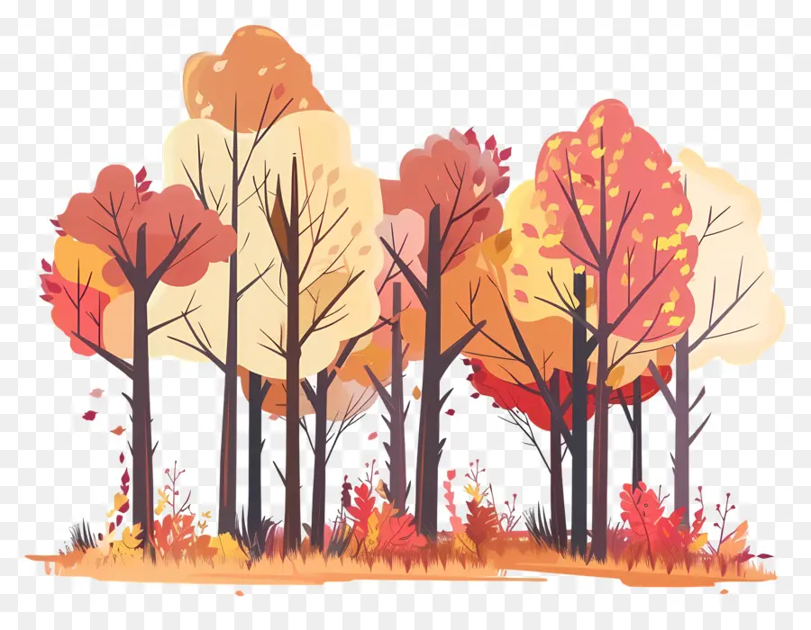 Forêt D'automne，Couleurs De L'automne PNG