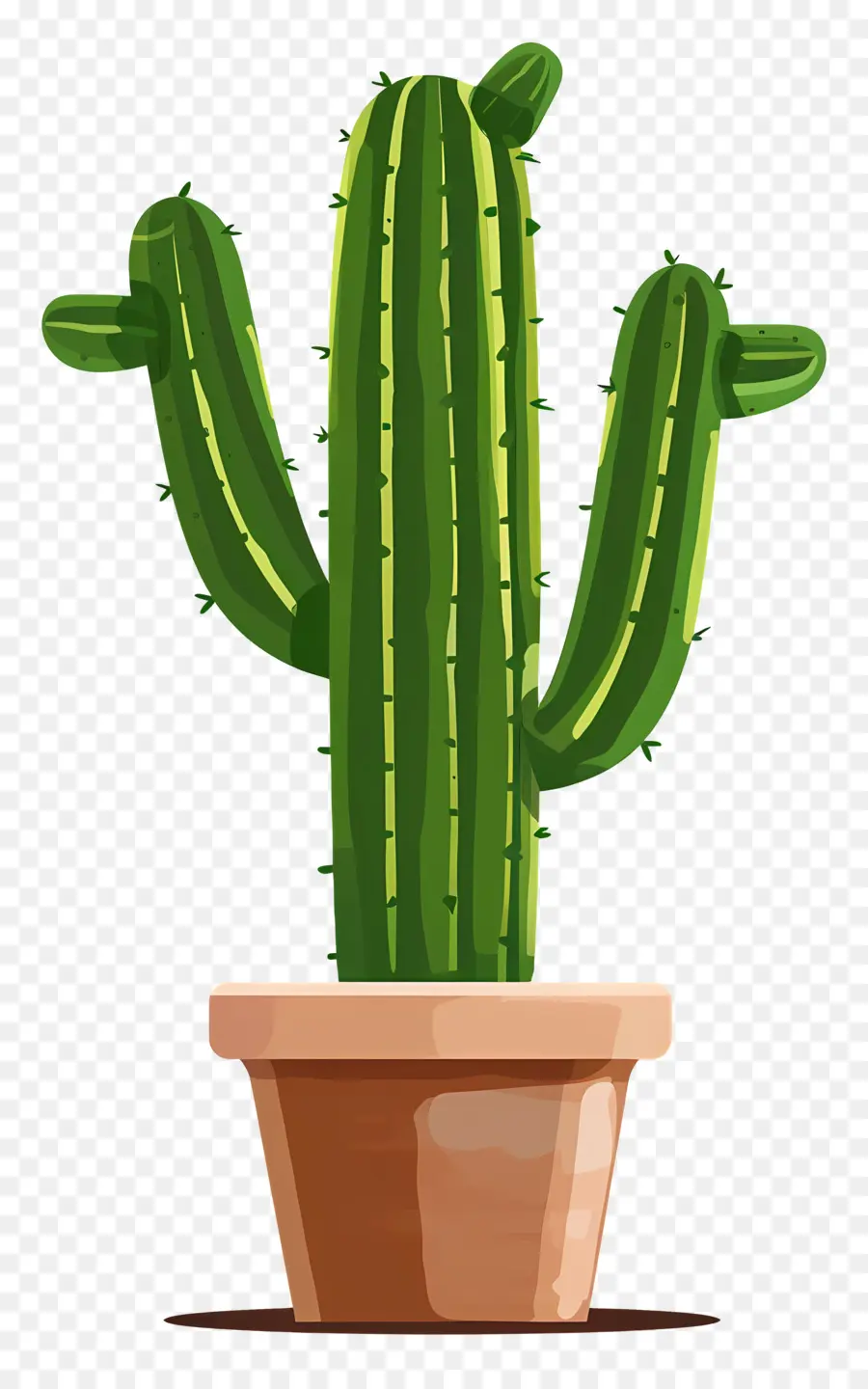 Vert Cactus，Cactus PNG