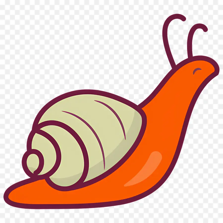 Escargot，Orange PNG