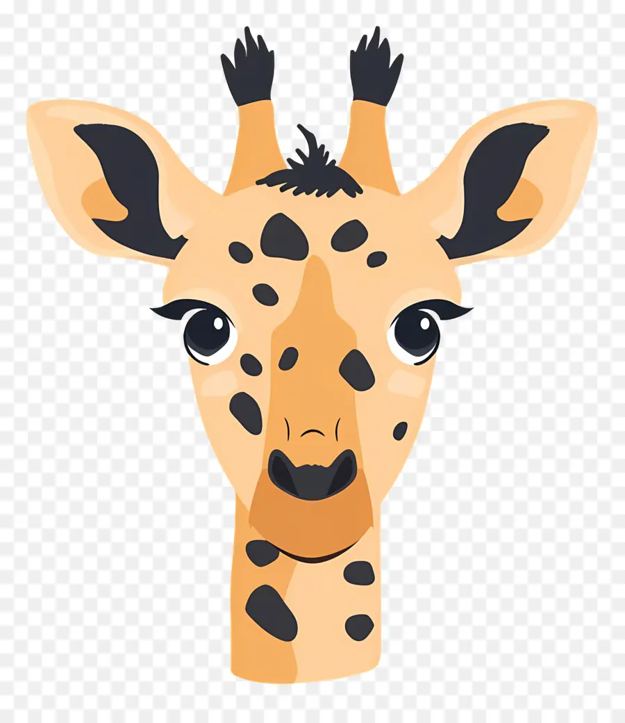 Visage Mignon De Girafe，Girafe PNG