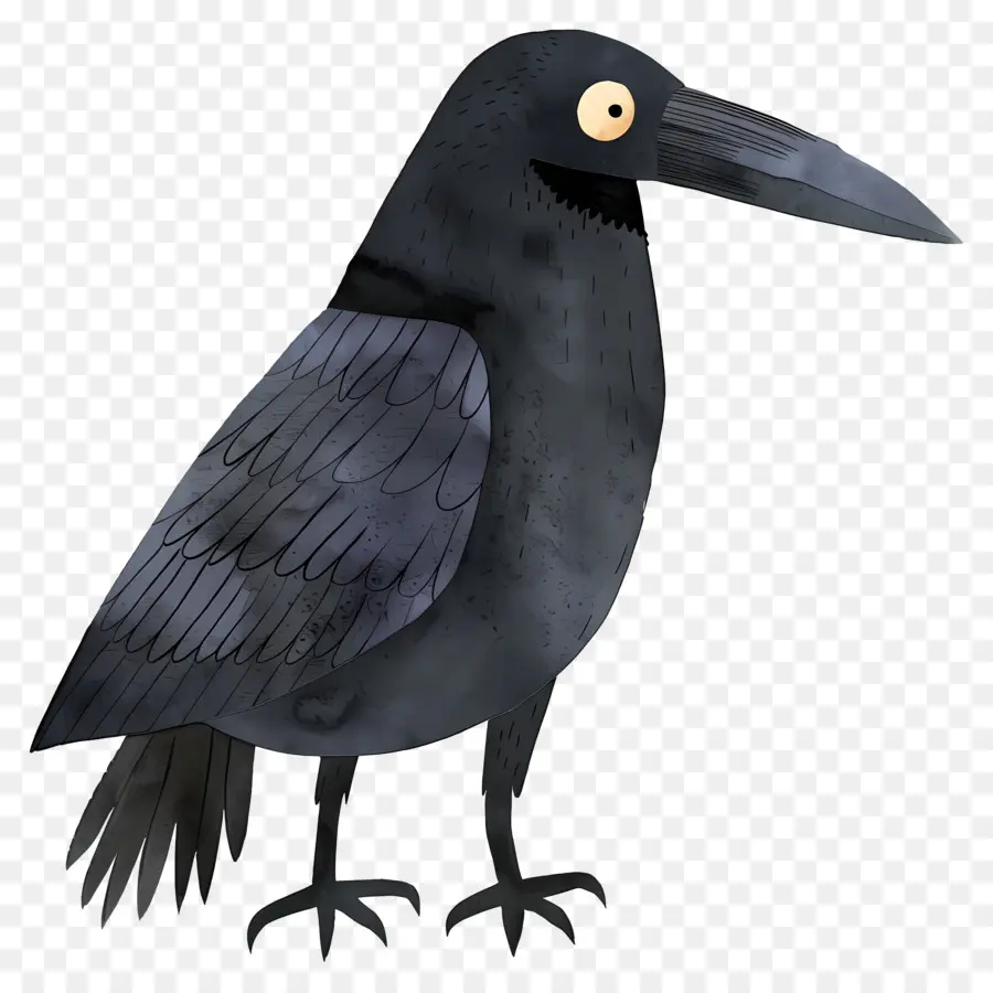 Raven De Dessin Animé，Crow PNG