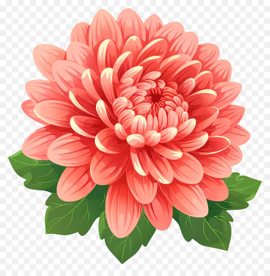 Fleur De Chrysanthème，Chrysanthème PNG