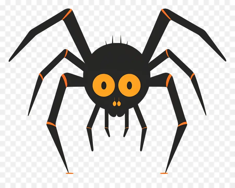 Halloween Araignée，Araignée Noire PNG