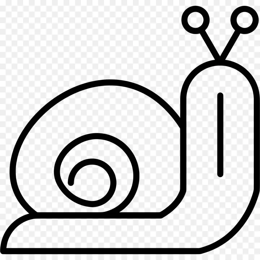 Escargot，Caméra PNG