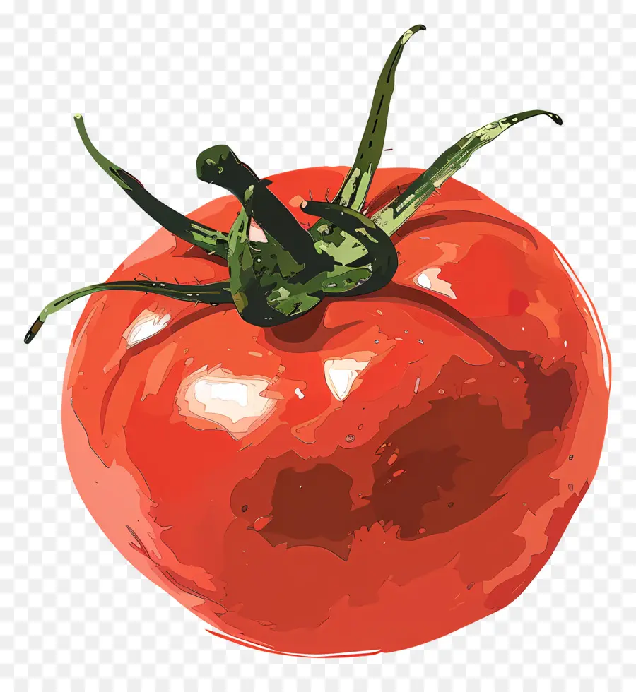Tomate，La Cuisson PNG