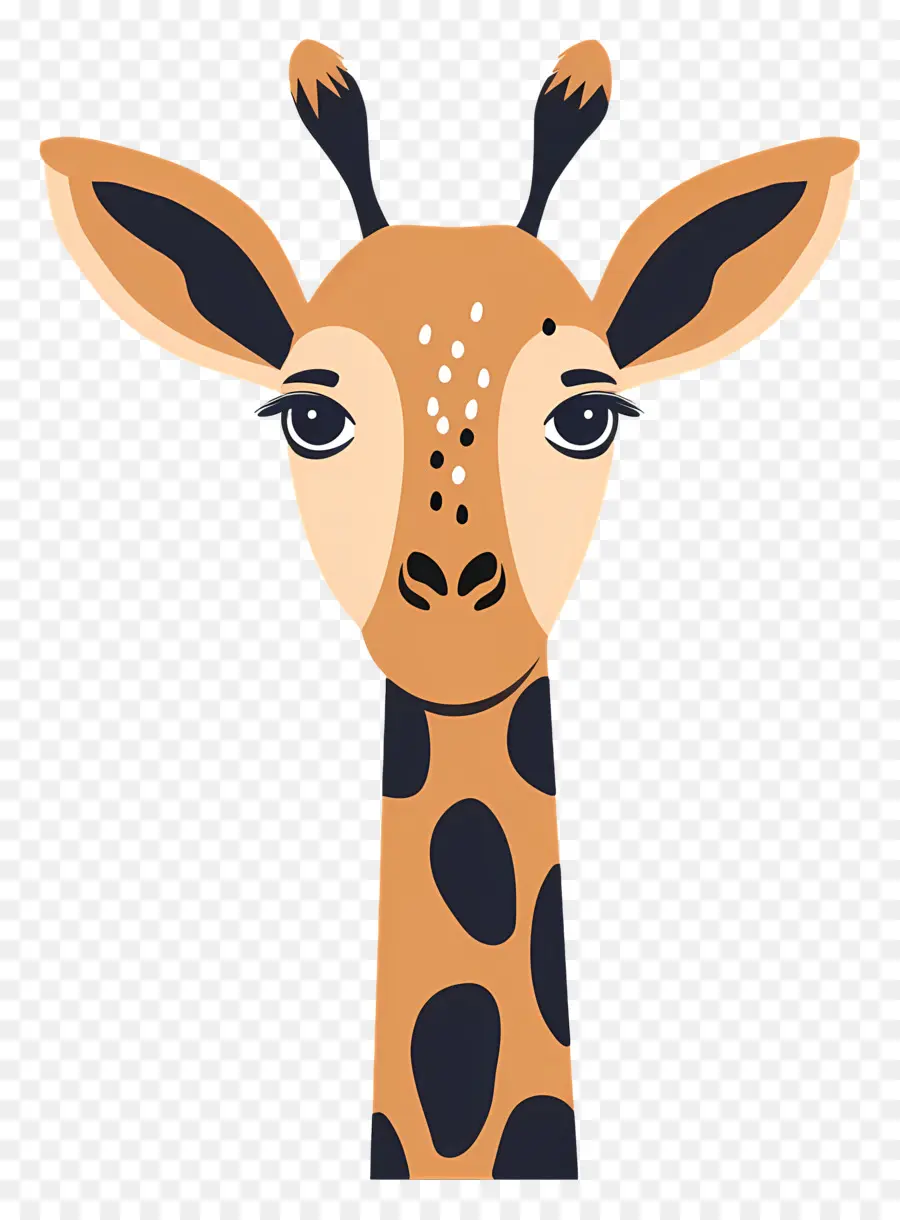 Visage Mignon De Girafe，Girafe Stylisée PNG