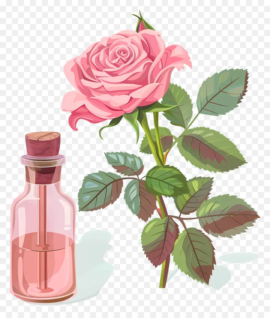 L'huile De Rose，Rose Rose PNG