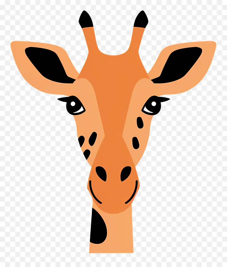 Visage Mignon De Girafe，Visage De Girafe PNG