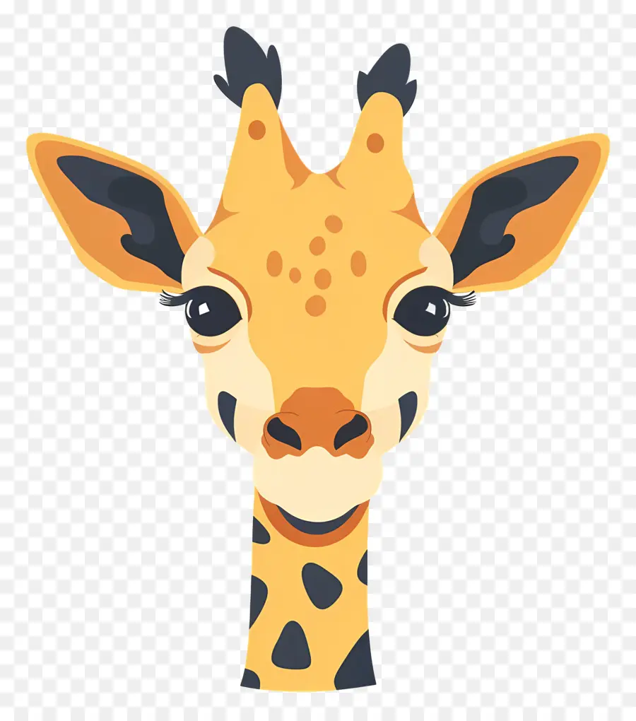 Visage De Girafe Mignon，Girafe PNG