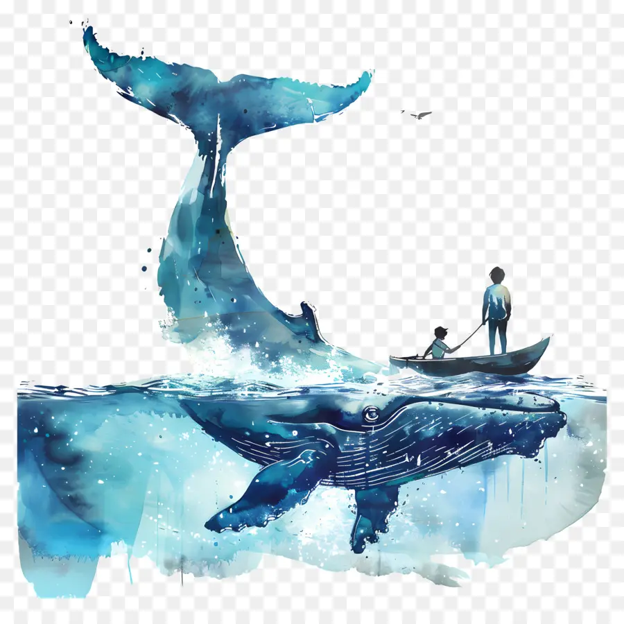 L'observation Des Baleines，Baleine Bleue PNG