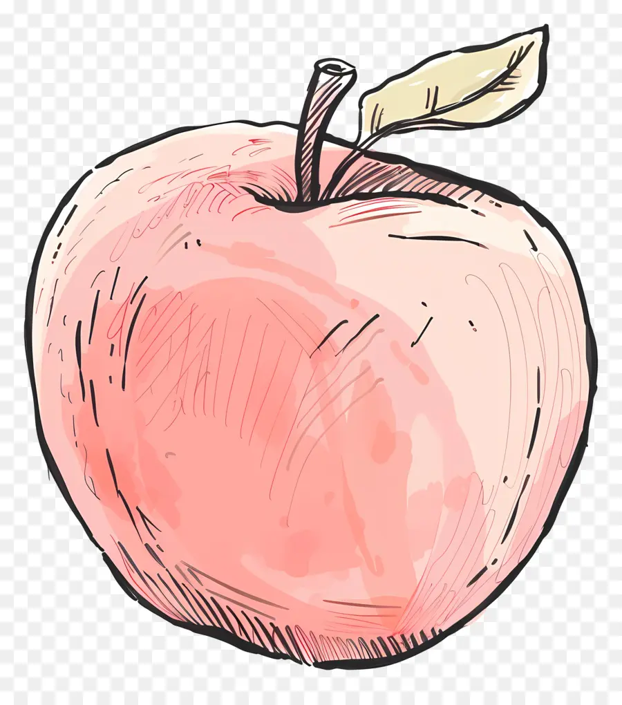 Mignon Apple，Pomme PNG