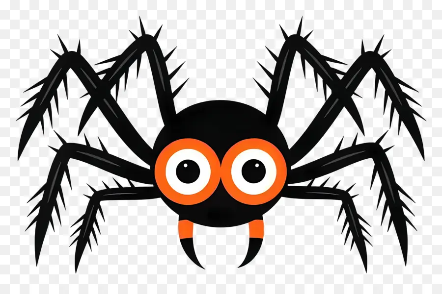 Halloween Araignée，Araignée PNG