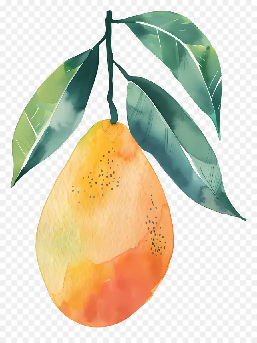 La Mangue，Fruits PNG
