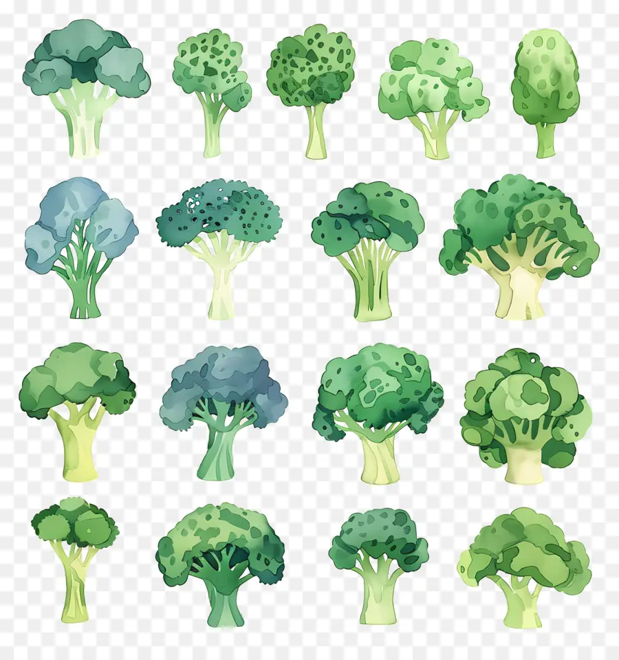 Brocoli，Vert PNG