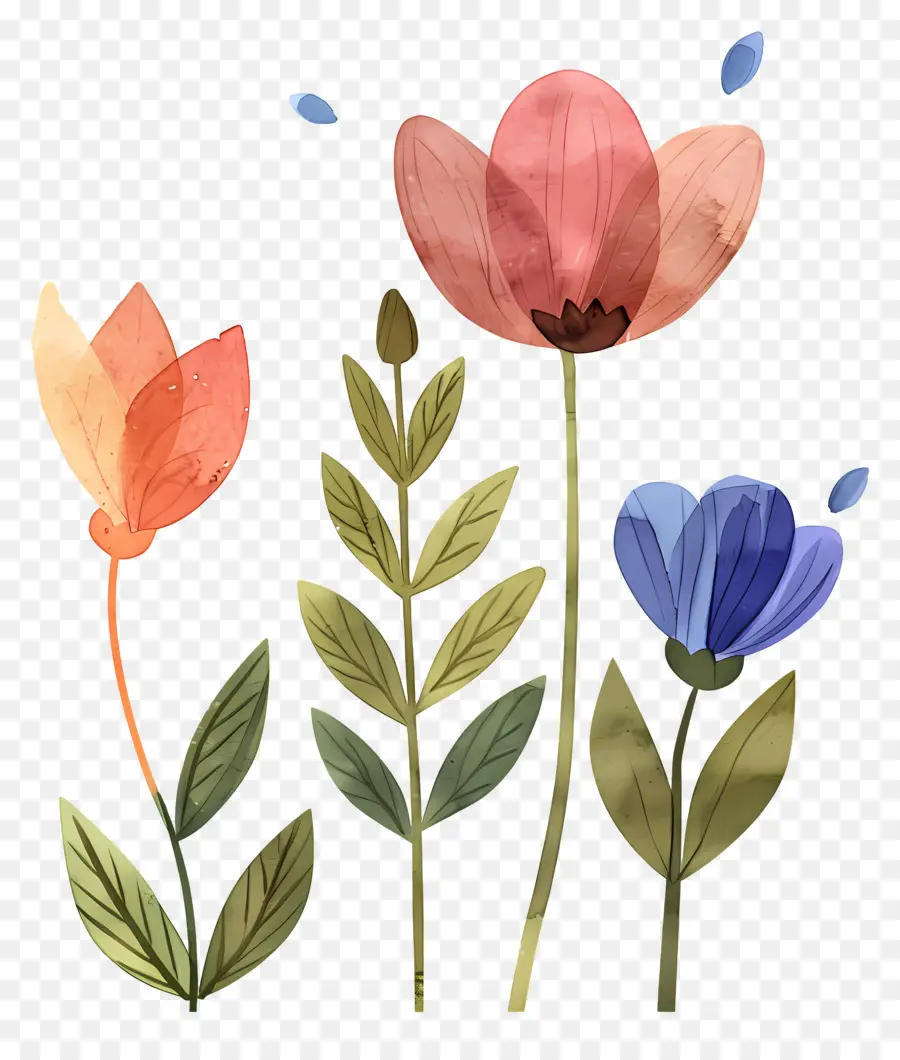 Fleurs，Plantes PNG