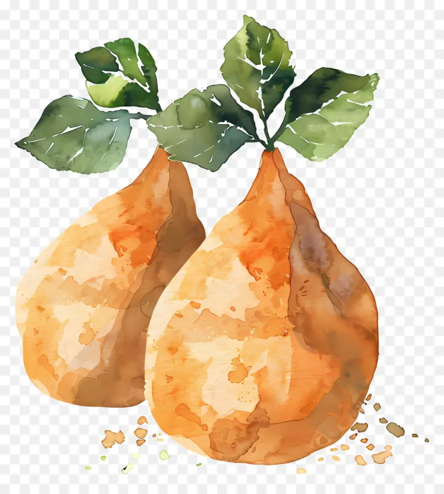 Patate Douce，Poires PNG