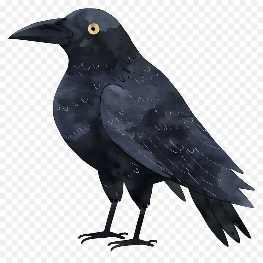 Raven De Dessin Animé，Crow PNG