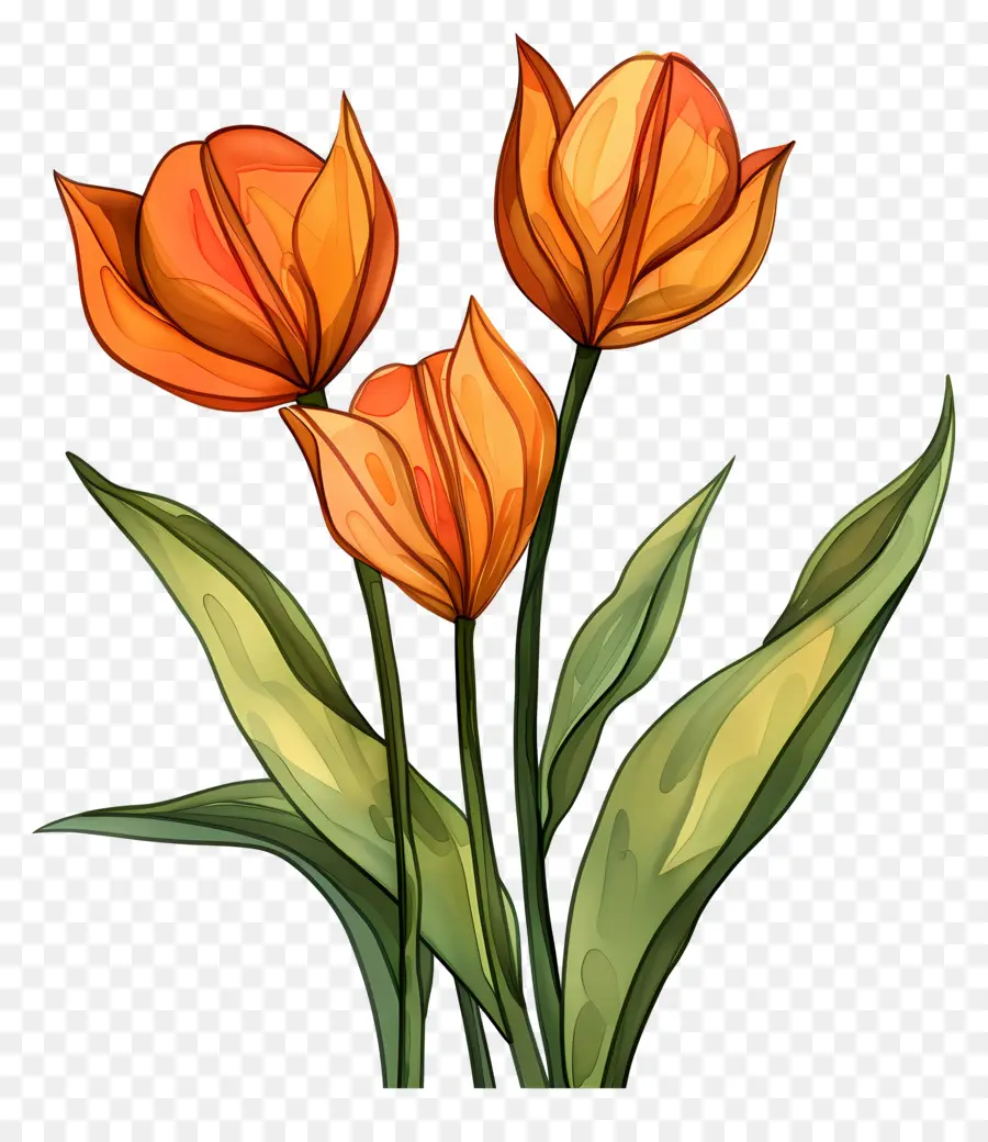 Les Tulipes，Fleurs PNG