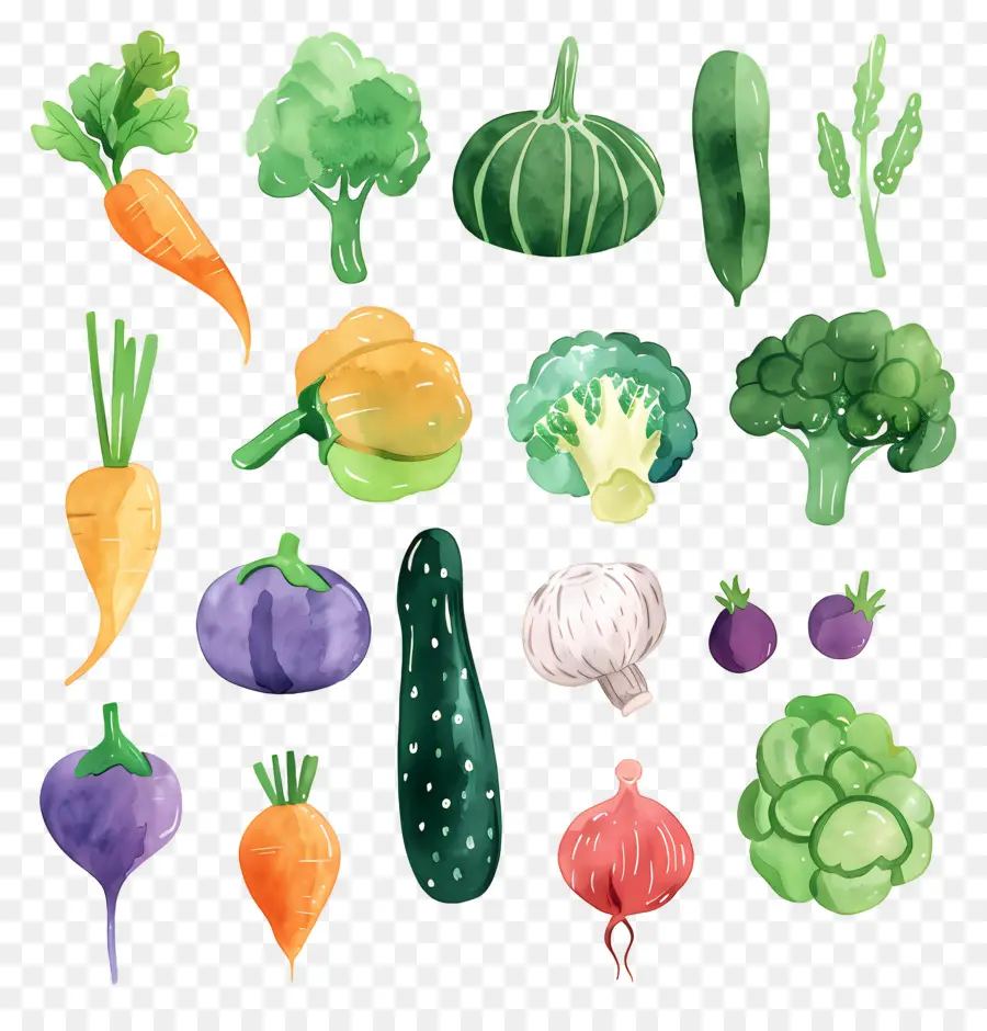 Légumes，Des Illustrations à L'aquarelle PNG