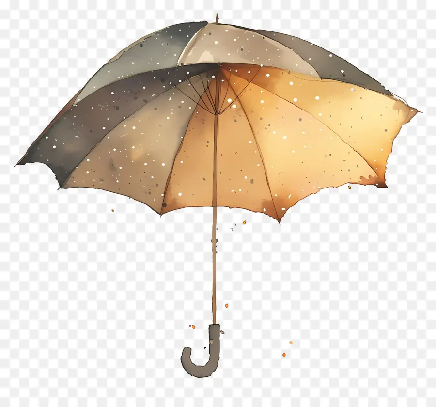Parapluie，Brun Parapluie PNG
