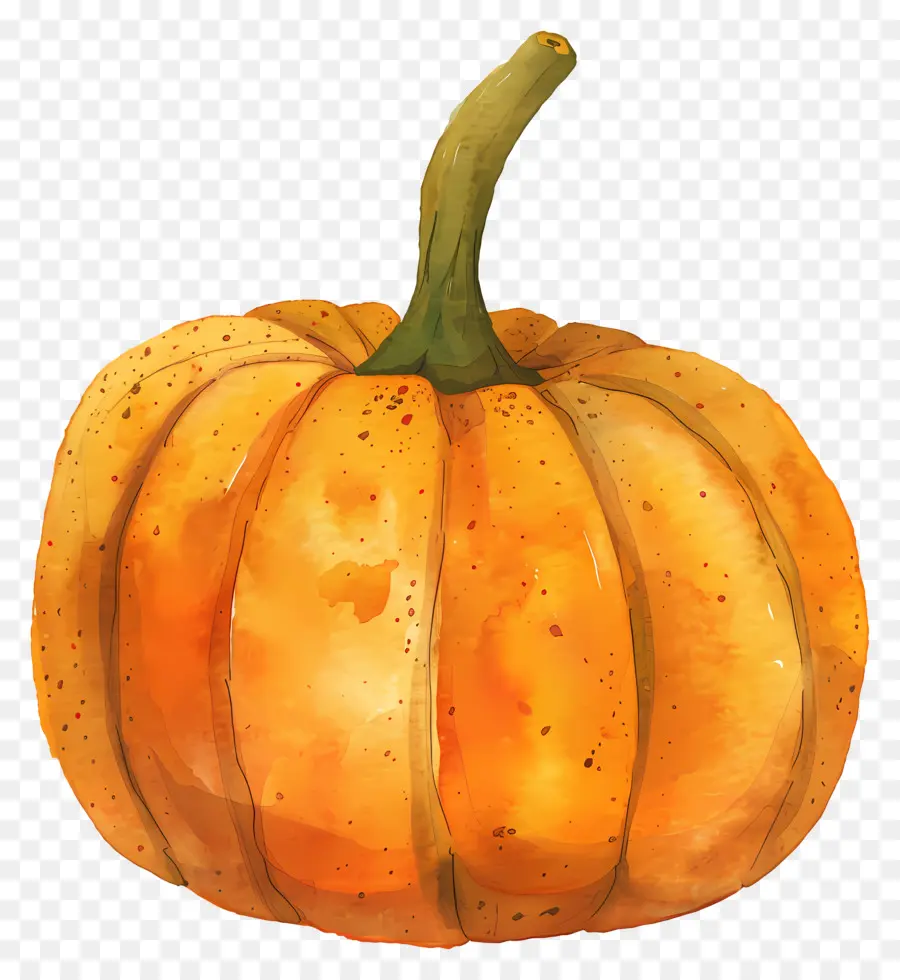 Citrouille，Orange PNG