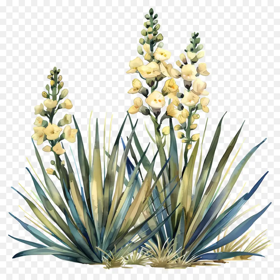 Yucca，Fleurs Jaunes Vibrantes PNG
