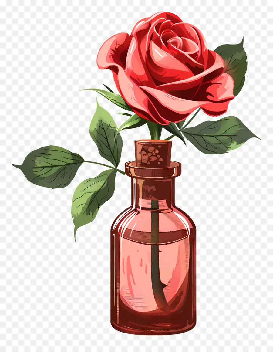 L'huile De Rose，Les Roses Rouges PNG