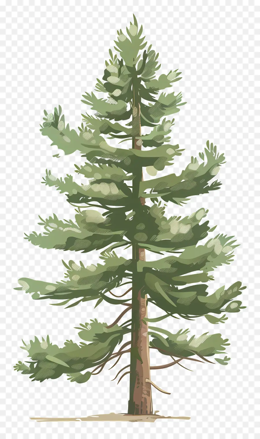 Pin，Arbre PNG