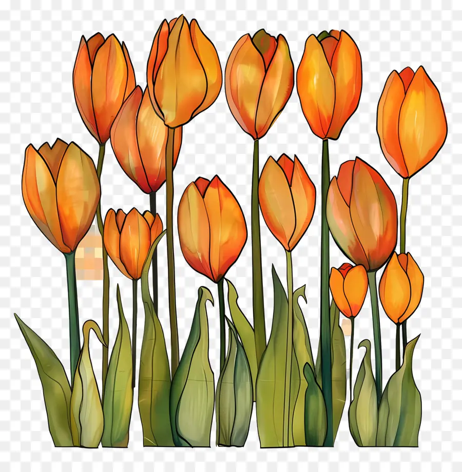 Les Tulipes，Orange Tulipes PNG