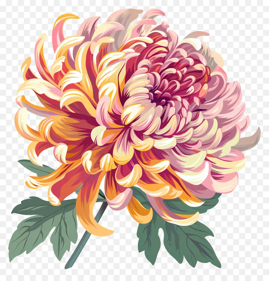 Fleur De Chrysanthème，Rose, Chrysanthème PNG