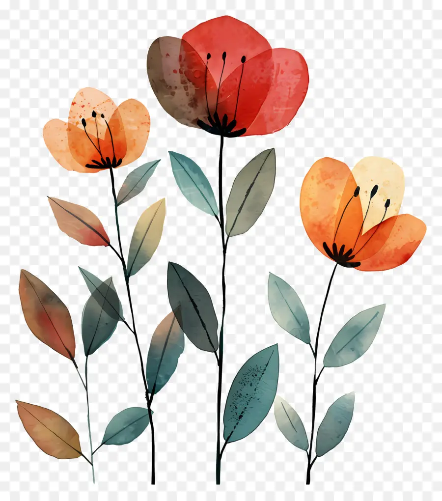 Fleurs，Des Fleurs D'orange PNG