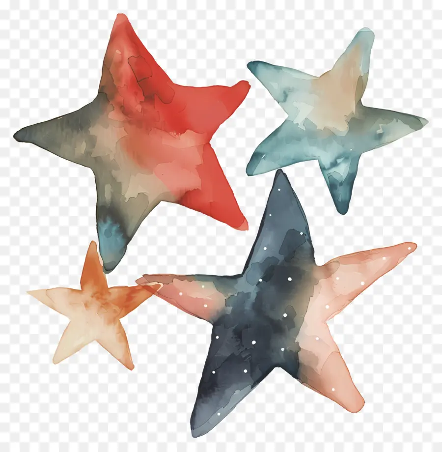 Étoiles，Les étoiles De Mer PNG
