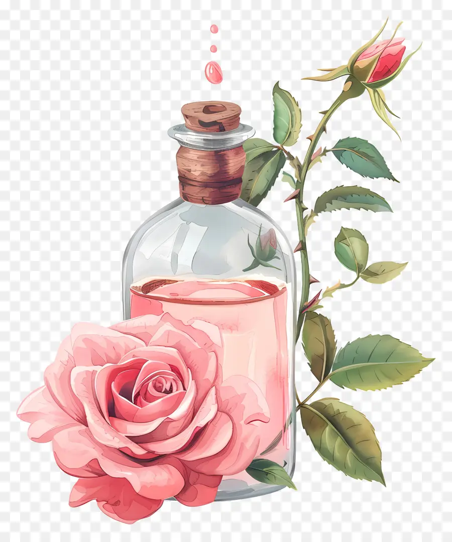 L'huile De Rose，Roses PNG