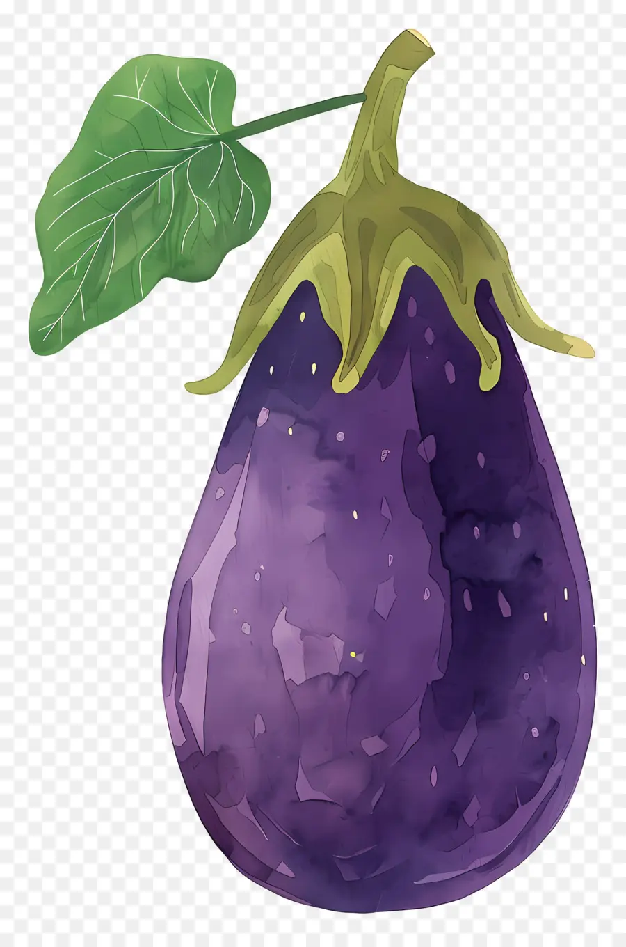 L'aubergine，Peinture à L'aquarelle PNG