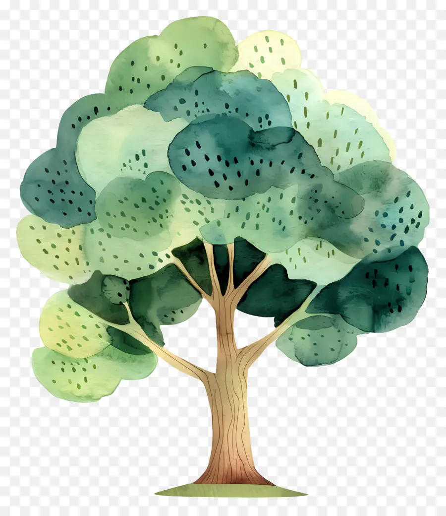 Arbre De Dessin Animé，Arbre PNG