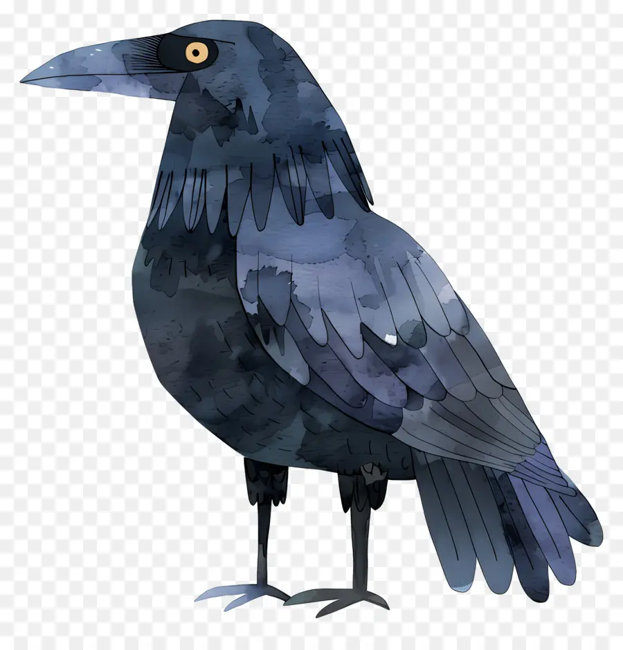 Corbeau De Dessin Animé，Corbeau PNG