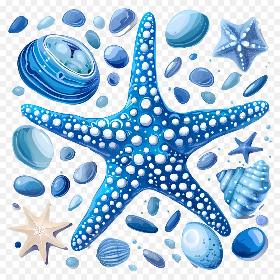 Cailloux，Les étoiles De Mer PNG
