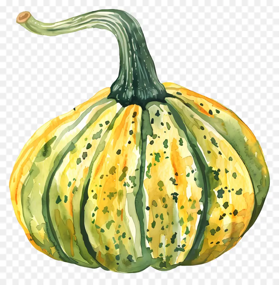 La Courge，Gourde PNG