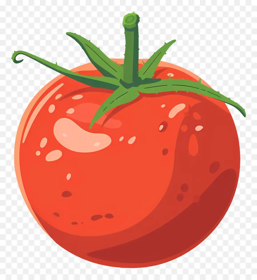 Tomate，Tomate Mûre PNG