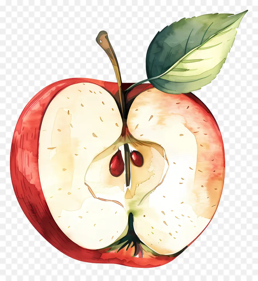 Tranche De Pomme，Pomme PNG