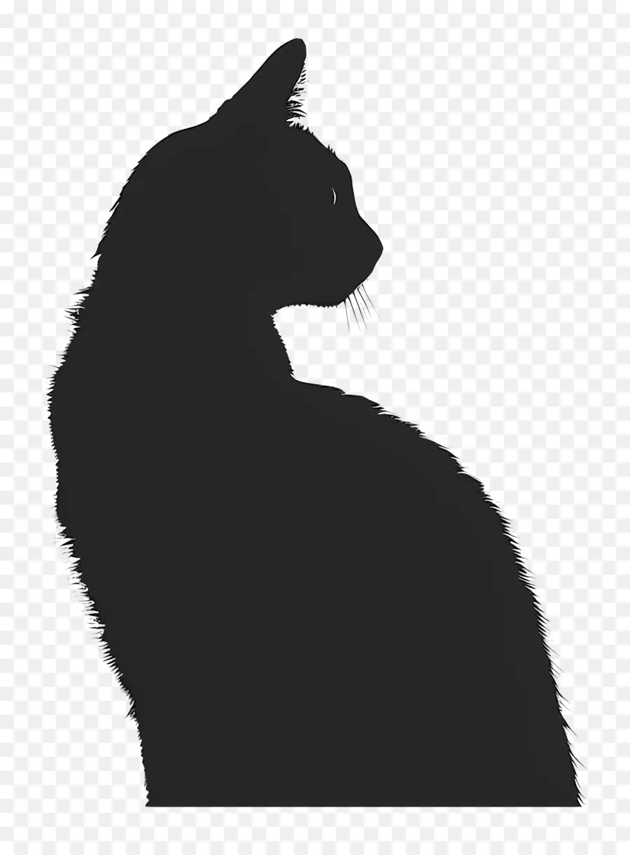 Silhouette De Chat，Chat PNG