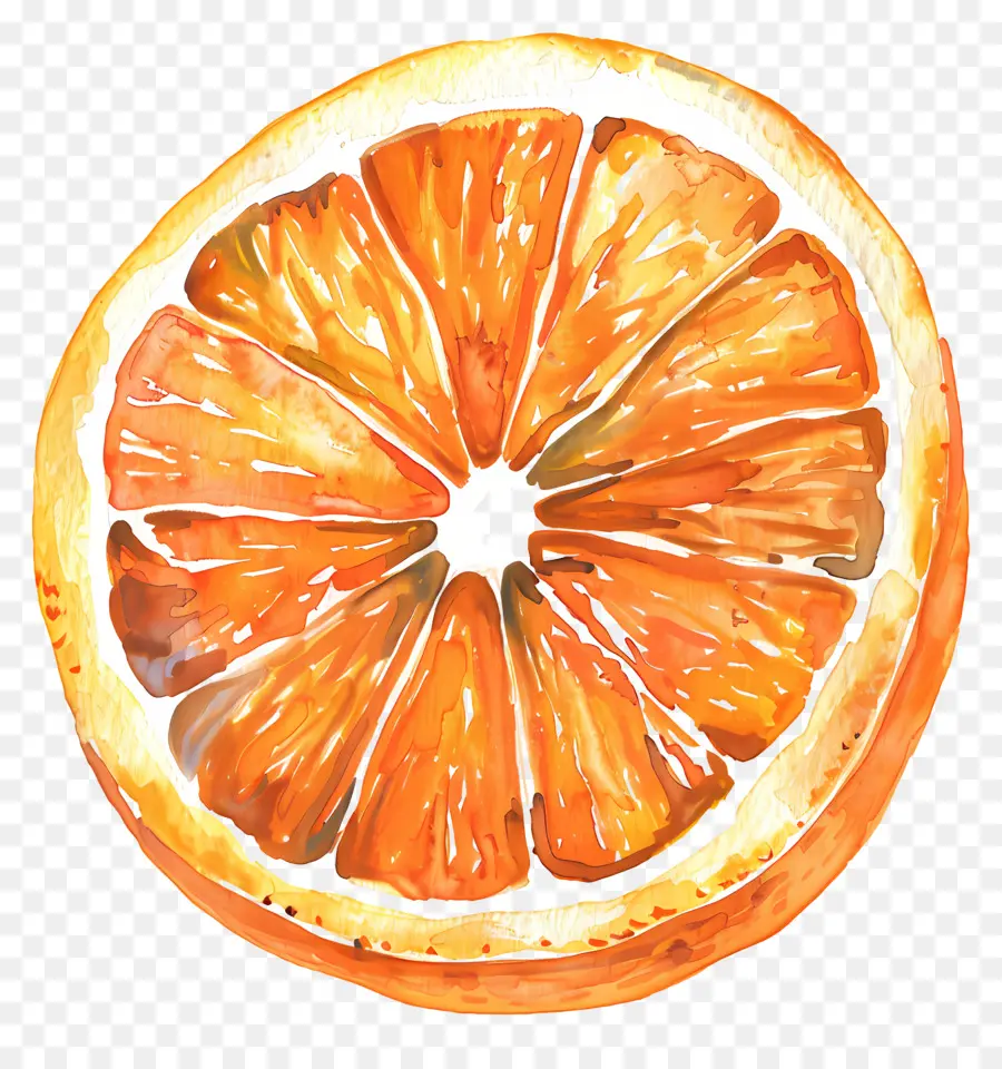 La Moitié D'orange，Tranche D'Orange PNG