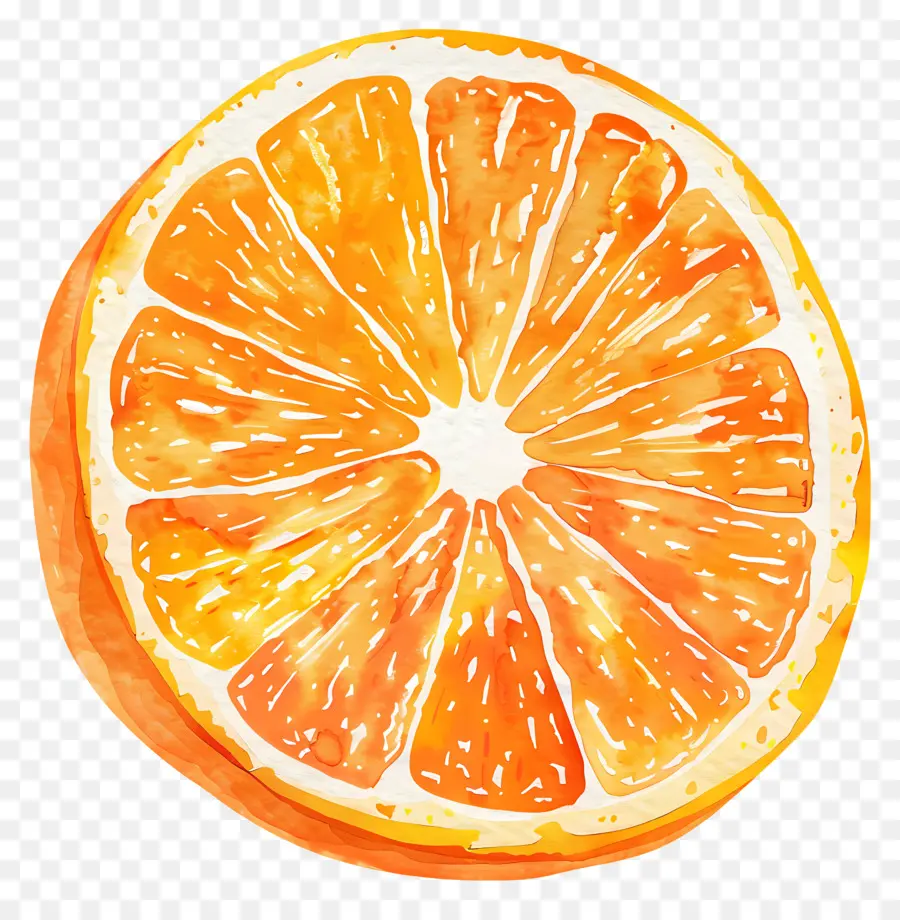 Tranche D'Orange，Peinture à L'aquarelle PNG