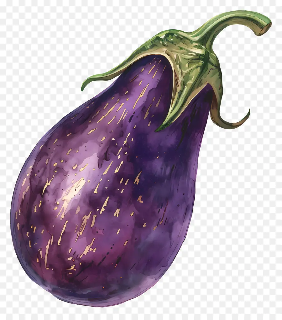 L'aubergine，Aubergine PNG