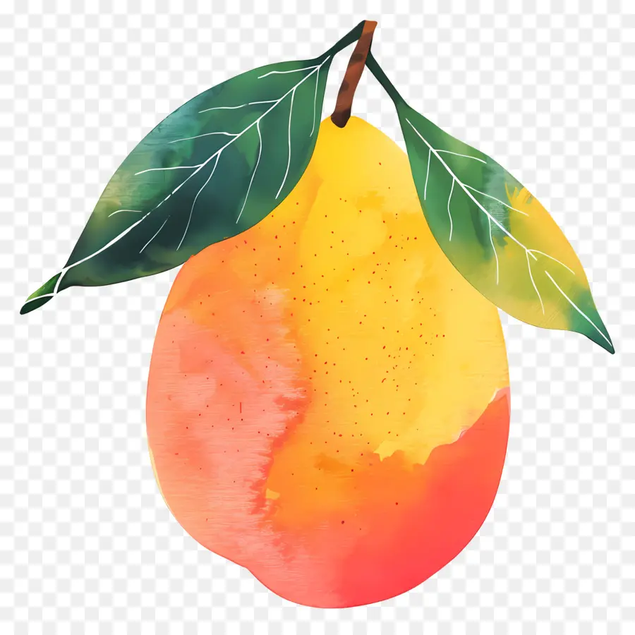 La Mangue，Mûres PNG