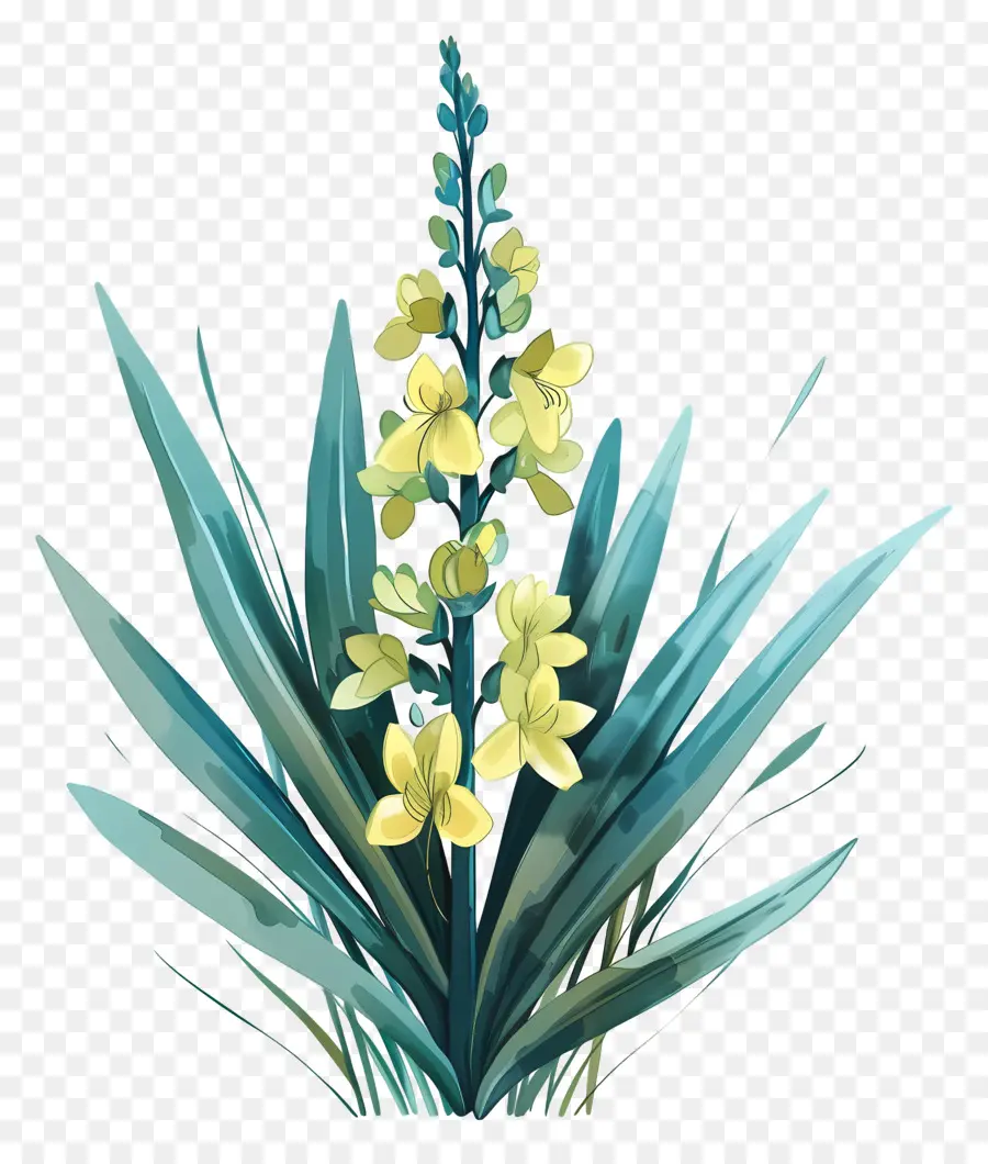 Yucca，Fleur Jaune PNG